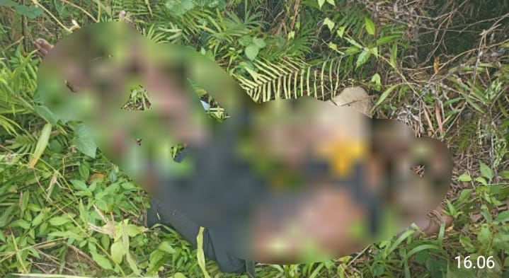 Polisi Selidiki Penemuan Jenazah Pria di Jalan Trans Timika – Nabire, Diduga Kecelakaan Tunggal